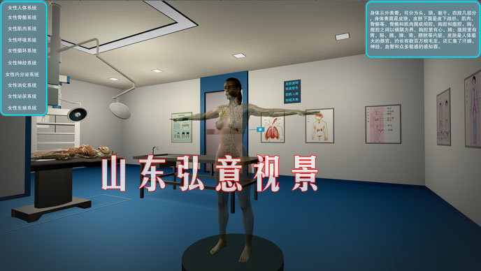 隧道施工法VR