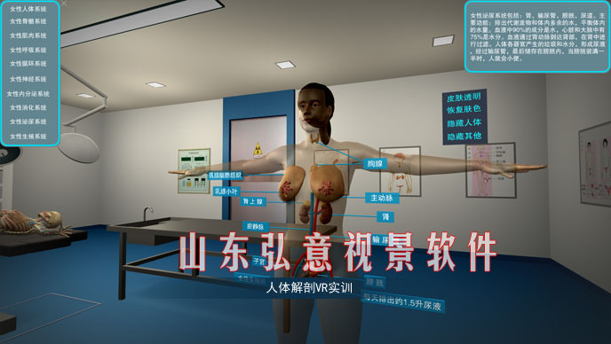 隧道施工法VR