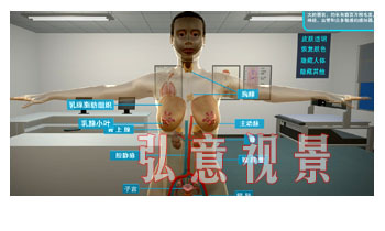 虚拟现实VR软件