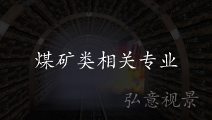 在线演示